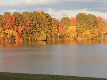 Lake at old dominion apartments